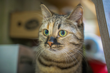 Similar image 21827844