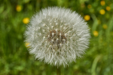 Similar image 21825765