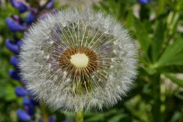 Similar image 21825766