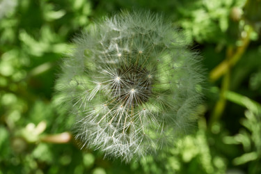 Similar image 21827150