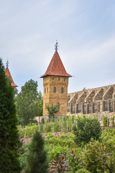 Similar image 21827305