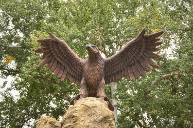 Similar image 21827327