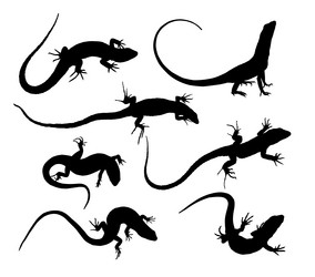 Similar image 21827153