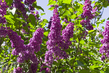 Similar image 21827154