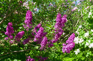 Similar image 21827155