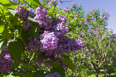 Similar image 21827156