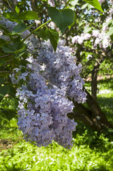 Similar image 21827157