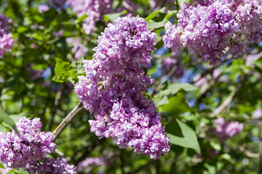 Similar image 21827158