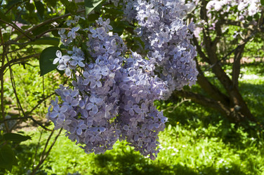 Similar image 21827159