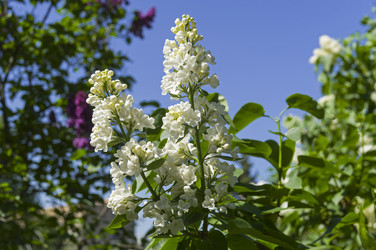 Similar image 21827160