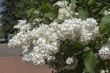 Similar image 21827161