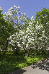 Similar image 21827162