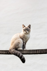 Similar image 21827859