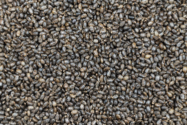 Similar image 21827860