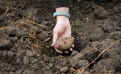 Similar image 21827863