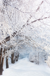 Similar image 21827865