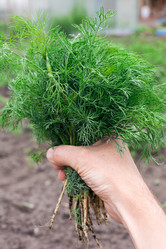 Similar image 21827866