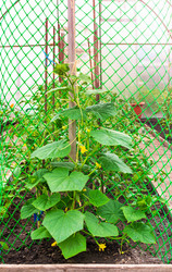 Similar image 21827867