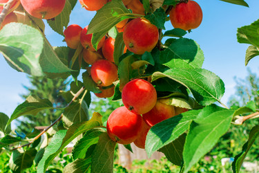 Similar image 21827870