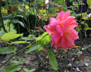 Similar image 21827881