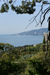 Similar image 21827886