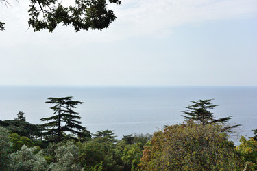 Similar image 21827887