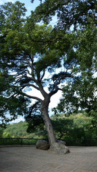 Similar image 21827896