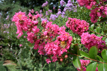 Similar image 21827900