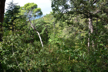 Similar image 21827901