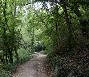 Similar image 21827902