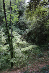 Similar image 21827903