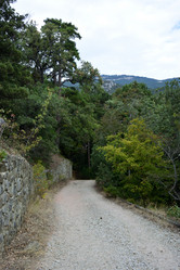 Similar image 21827904