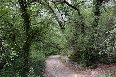 Similar image 21827905