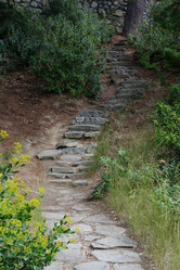 Similar image 21827907