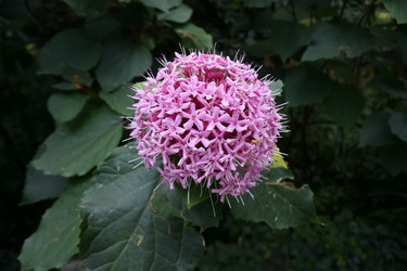 Similar image 21827909