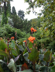 Similar image 21827913