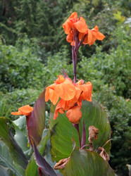 Similar image 21827915