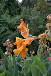 Similar image 21827916