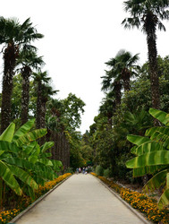 Similar image 21827917