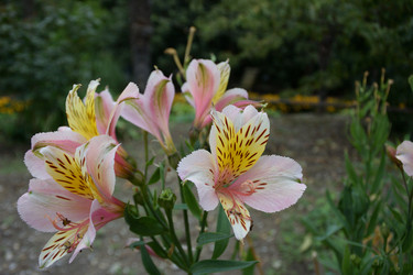 Similar image 21827918