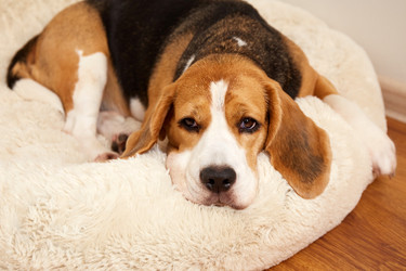 Similar image 21828139