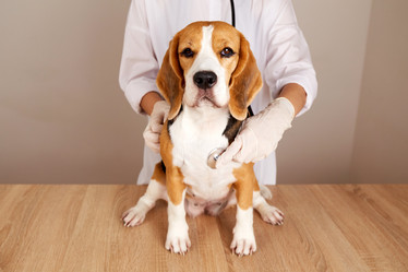 Similar image 21828147