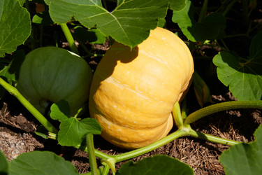 Similar image 21828149