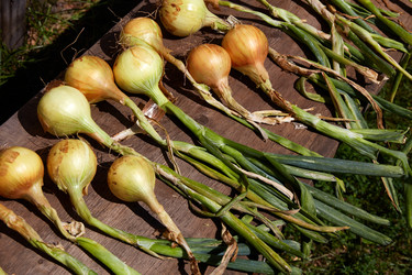 Similar image 21828150