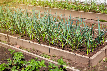 Similar image 21828151