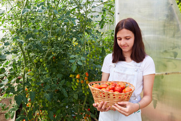 Similar image 21828331