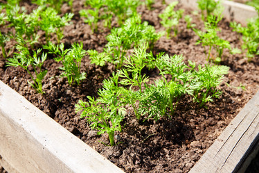 Similar image 21828334