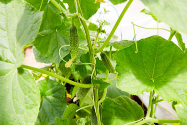 Similar image 21828335