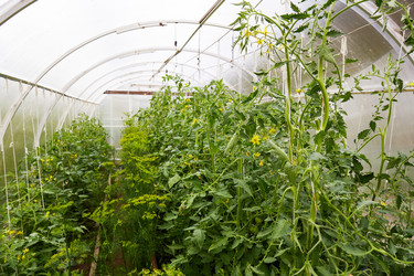 Similar image 21828336