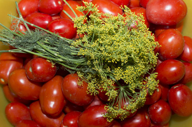 Similar image 21838348